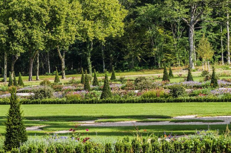 Taille des haies &agrave; Nozay : techniques et p&eacute;riode id&eacute;ale