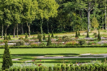 Taille des haies &agrave; Nozay : techniques et p&eacute;riode id&eacute;ale